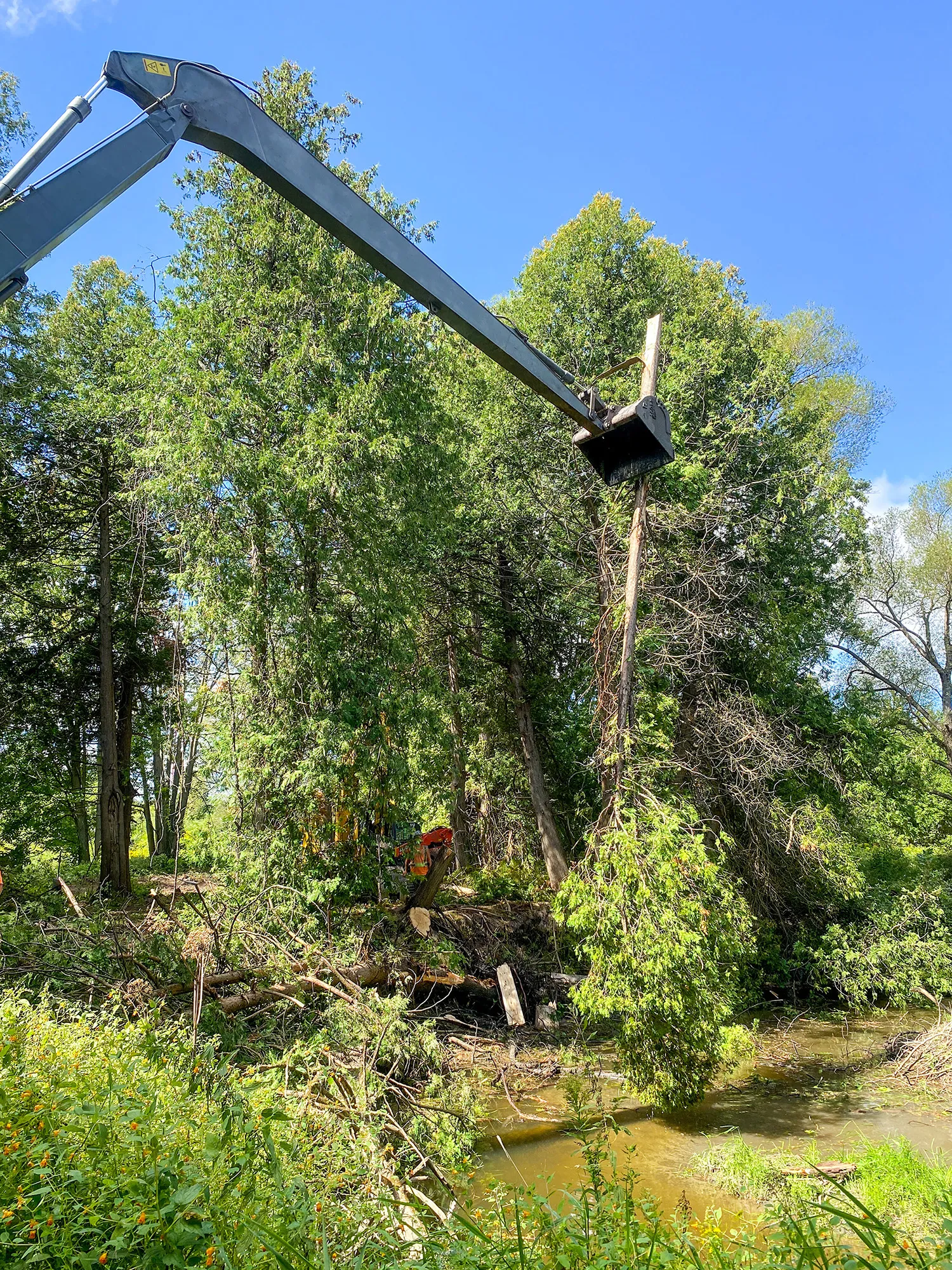 Excavator hoisting trees into place along river bank