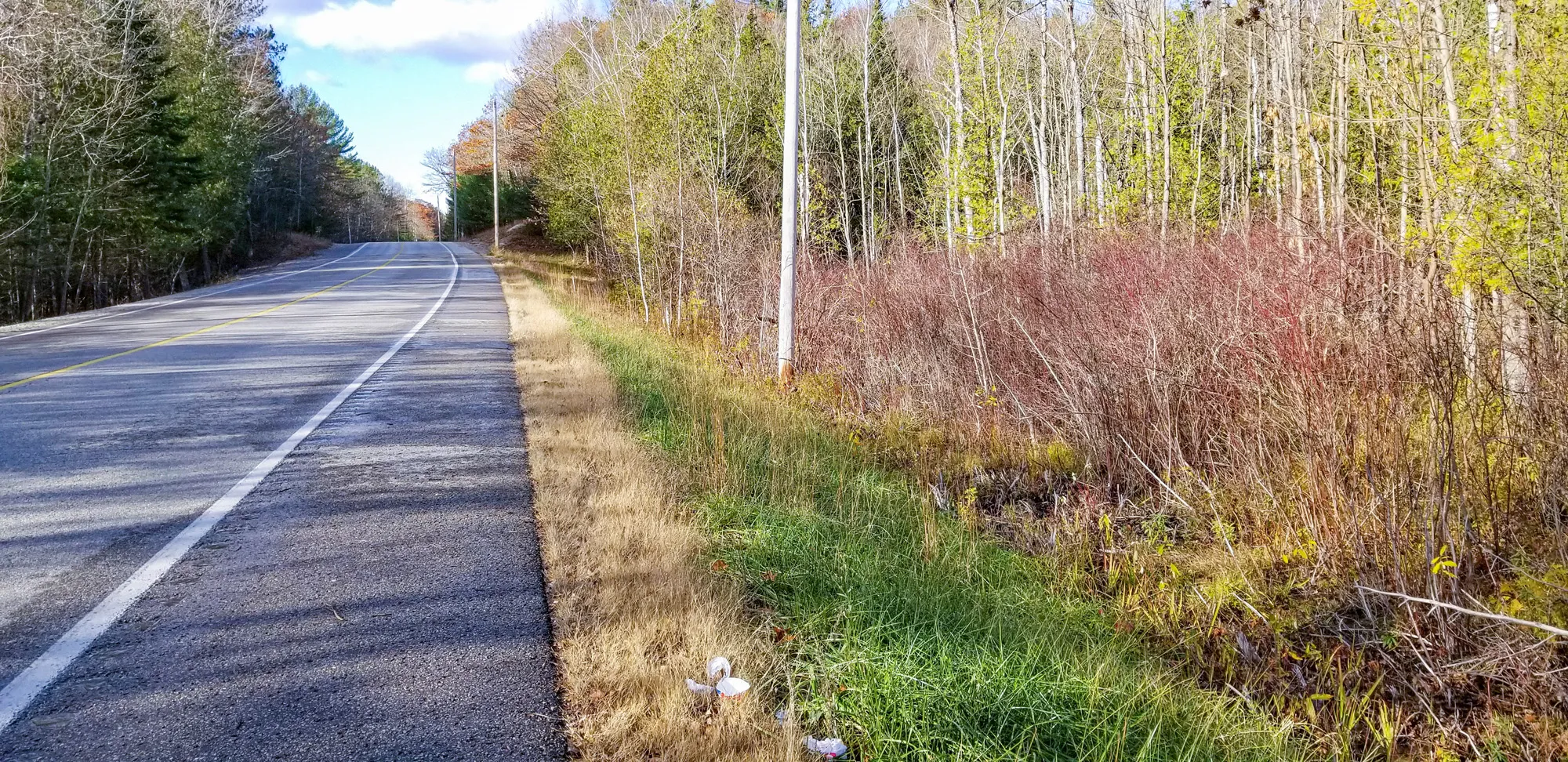 Veterans Way - Roadway showing roadside with brush and trees