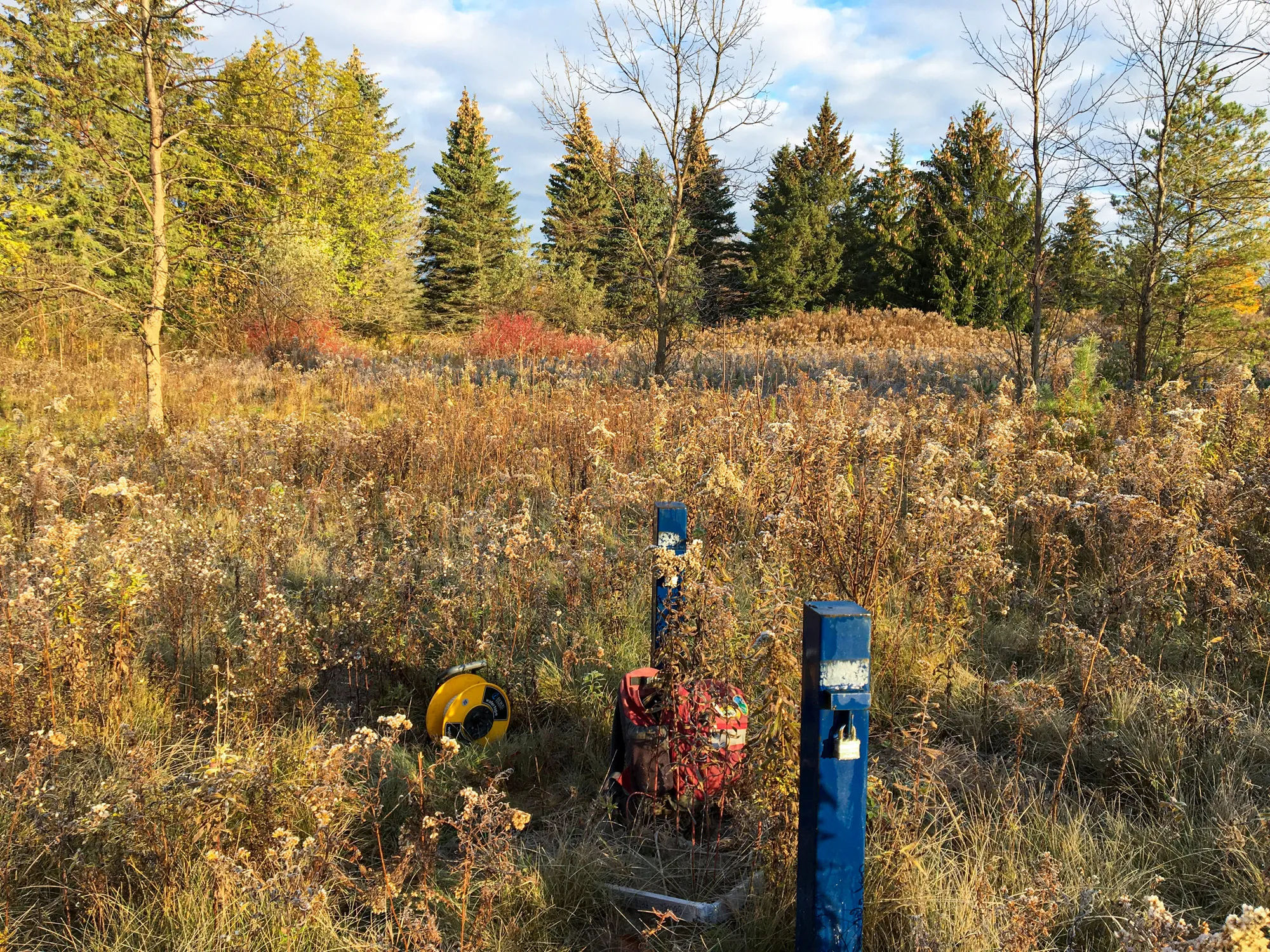 Forested area opening with Water Sampling